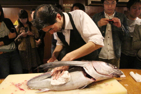 ローレンス・マグロ祭り